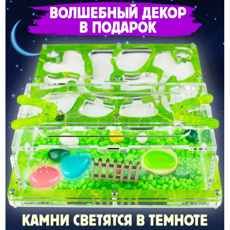 Формикарий Медиум “Зеленый лист”